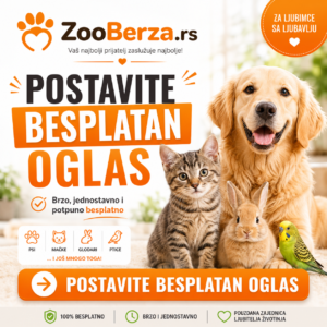 Postavite besplatan oglas za pse, mačke i druge ljubimce na ZooBerza.rs