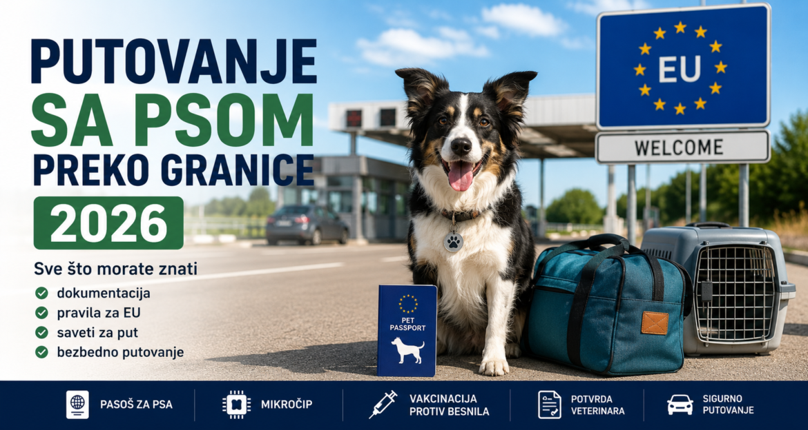 Putovanje sa psom preko granice 2026 – pasoš, mikročip i dokumentacija